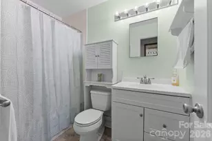 879 New Haw Creek Rd, Asheville, NC 28805 - Photo 19