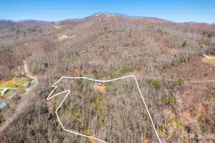 1474 Locust Grove Rd, Hendersonville, NC 28792 - Photo 3