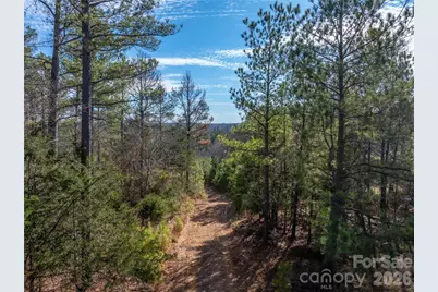 0000 Quarter Round Road #8, Pacolet, SC 29372 - Photo 3