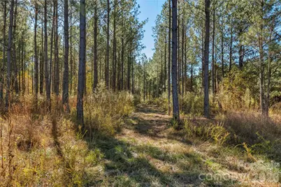 0000 Quarter Round Road #8, Pacolet, SC 29372 - Photo 5