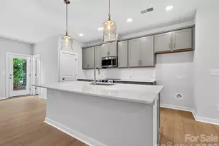 1136 Bismuth Ln, Charlotte, NC 28211 - Photo 3
