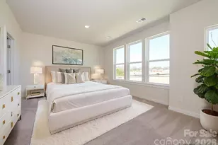 1136 Bismuth Ln, Charlotte, NC 28211 - Photo 5