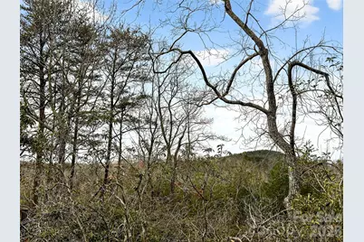 345 Lower Switchback Road, Union Mills, NC 28167 - Photo 31