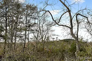 345 Lower Switch Back Rd, Union Mills, NC 28167 - Photo 31