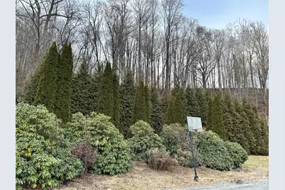 330 Potts Drive, Waynesville, NC 28785 - Photo 45