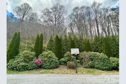 330 Potts Drive, Waynesville, NC 28785 - Photo 47
