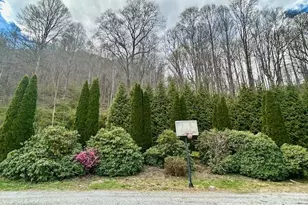 330 Potts Dr, Waynesville, NC 28785 - Photo 47