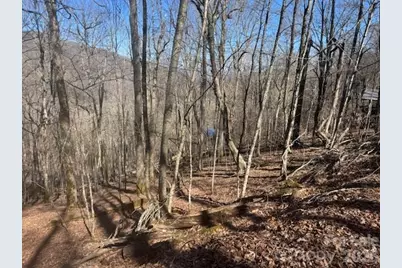 11 Zebulon Lane, Mars Hill, NC 28754 - Photo 3