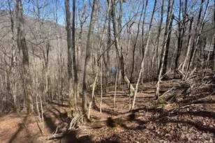 11 Zebulon Ln, Mars Hill, NC 28754 - Photo 3