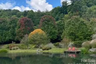 11 Zebulon Ln, Mars Hill, NC 28754 - Photo 15