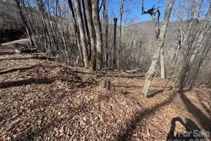 11 Zebulon Ln, Mars Hill, NC 28754 - Photo 5