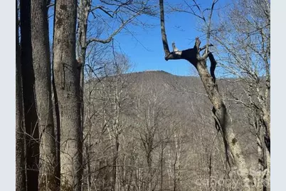 11 Zebulon Lane, Mars Hill, NC 28754 - Photo 7