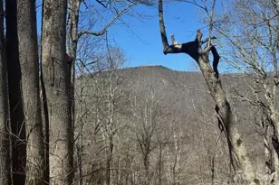 11 Zebulon Ln, Mars Hill, NC 28754 - Photo 7