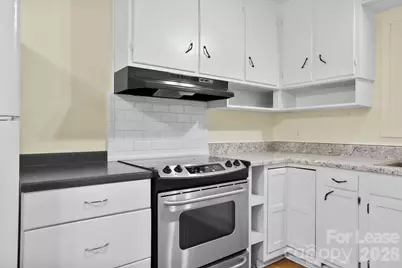 535 Nicholson Creek Road, Brevard, NC 28712 - Photo 17