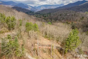 118 Richard Ln, Black Mountain, NC 28711 - Photo 5