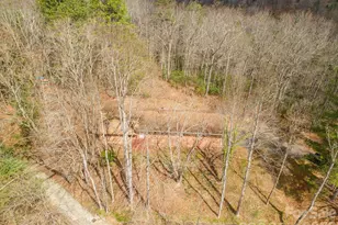 118 Richard Ln, Black Mountain, NC 28711 - Photo 5