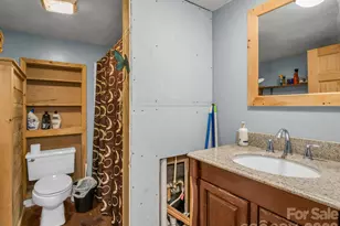 122 Hotel Hill Dr, Landrum, SC 29356 - Photo 15