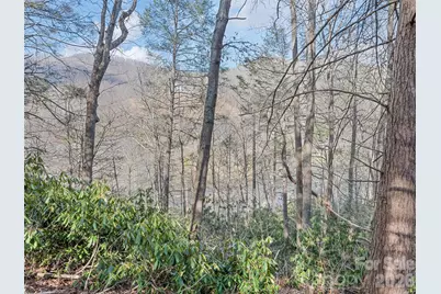 0 Harleys Cove #Lot 20, Waynesville, NC 28785 - Photo 11