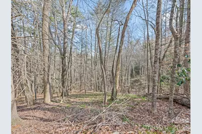 0 Harleys Cove #Lot 20, Waynesville, NC 28785 - Photo 9