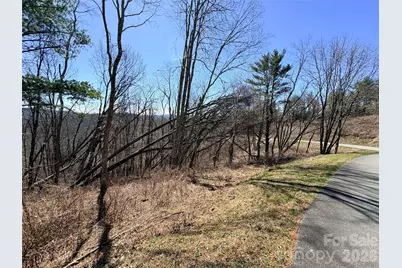 Lot 67 Linhigh Drive, Linville, NC 28646 - Photo 9