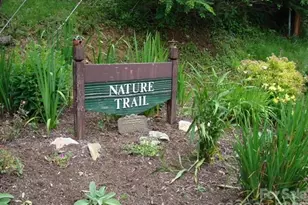 215 Goldenleaf Rd, Mars Hill, NC 28754 - Photo 43