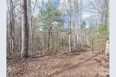 00 Harleys Cove #lot 21, Waynesville, NC 28785 - Photo 13