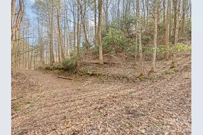 00 Harleys Cove #lot 21, Waynesville, NC 28785 - Photo 15