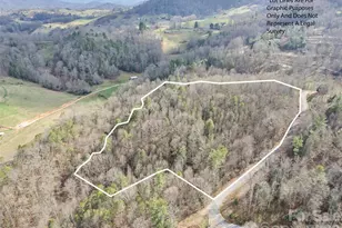 00 Harleys Cove, Waynesville, NC 28785 - Photo 1