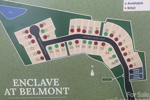 2917 Audubon Ridge, Belmont, NC 28012 - Photo 11