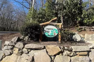 78 Longview Ridge Rd, Lake Toxaway, NC 28747 - Photo 31