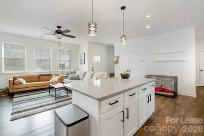 2703 Wells Street, Charlotte, NC 28206 - Photo 13