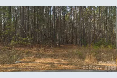 4196 South View Boulevard, Morganton, NC 28655 - Photo 9