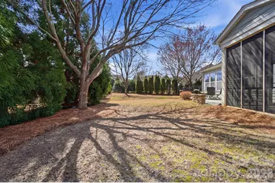 150 Black Mountain Drive, Fort Mill, SC 29708 - Photo 41