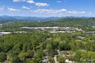 8 Fernlawn Rd, Asheville, NC 28805 - Photo 39