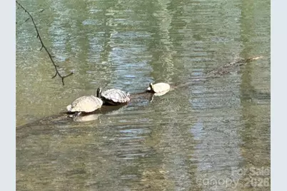 921 Northeast Drive #29, Davidson, NC 28036 - Photo 31