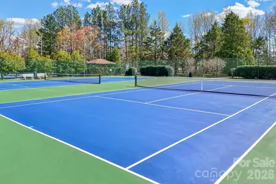 209 Township Drive, Fort Mill, SC 29715 - Photo 23