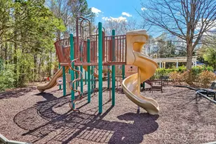 209 Township Dr, Fort Mill, SC 29715 - Photo 25