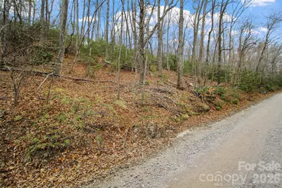 Lot 12 Patton Thicket Road, Burnsville, NC 28714 - Photo 3