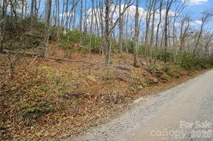 Lot 12 Patton Thicket Rd, Burnsville, NC 28714 - Photo 3