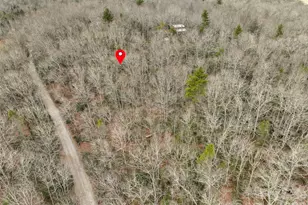 Lot 12 Patton Thicket Rd, Burnsville, NC 28714 - Photo 11