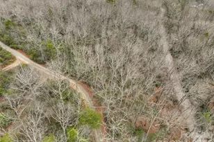 Lot 12 Patton Thicket Rd, Burnsville, NC 28714 - Photo 7