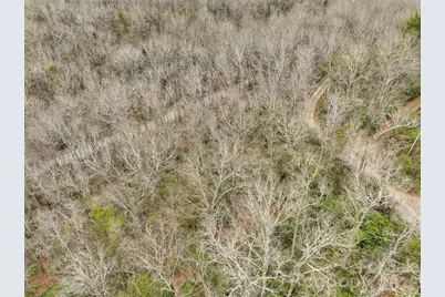 Lot 12 Patton Thicket Road, Burnsville, NC 28714 - Photo 9