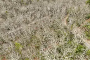 Lot 12 Patton Thicket Rd, Burnsville, NC 28714 - Photo 9