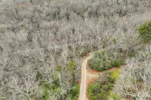 Lot 12 Patton Thicket Rd, Burnsville, NC 28714 - Photo 5