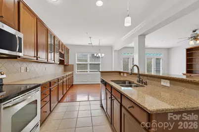 114 Inlet Point Drive, Tega Cay, SC 29708 - Photo 11