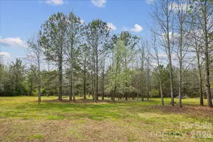 665 Edwards Rd, Fort Lawn, SC 29714 - Photo 39