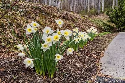 120 Mountain Mist Lane, Waynesville, NC 28785 - Photo 45