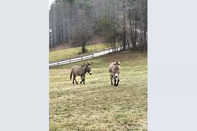 616 Appaloosa Trail, Waynesville, NC 28785 - Photo 41