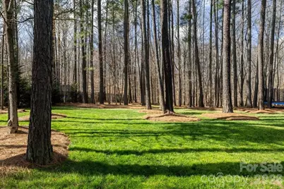 1525 Springfield Drive, Waxhaw, NC 28173 - Photo 43