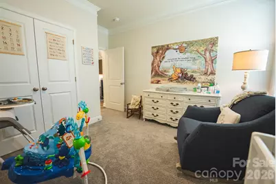 113 Saidin Lane, Troutman, NC 28166 - Photo 23